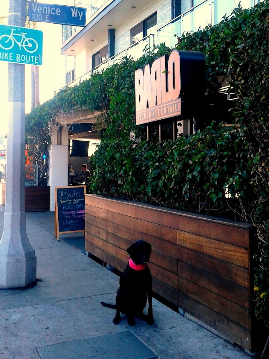 Erwin's General Cafe